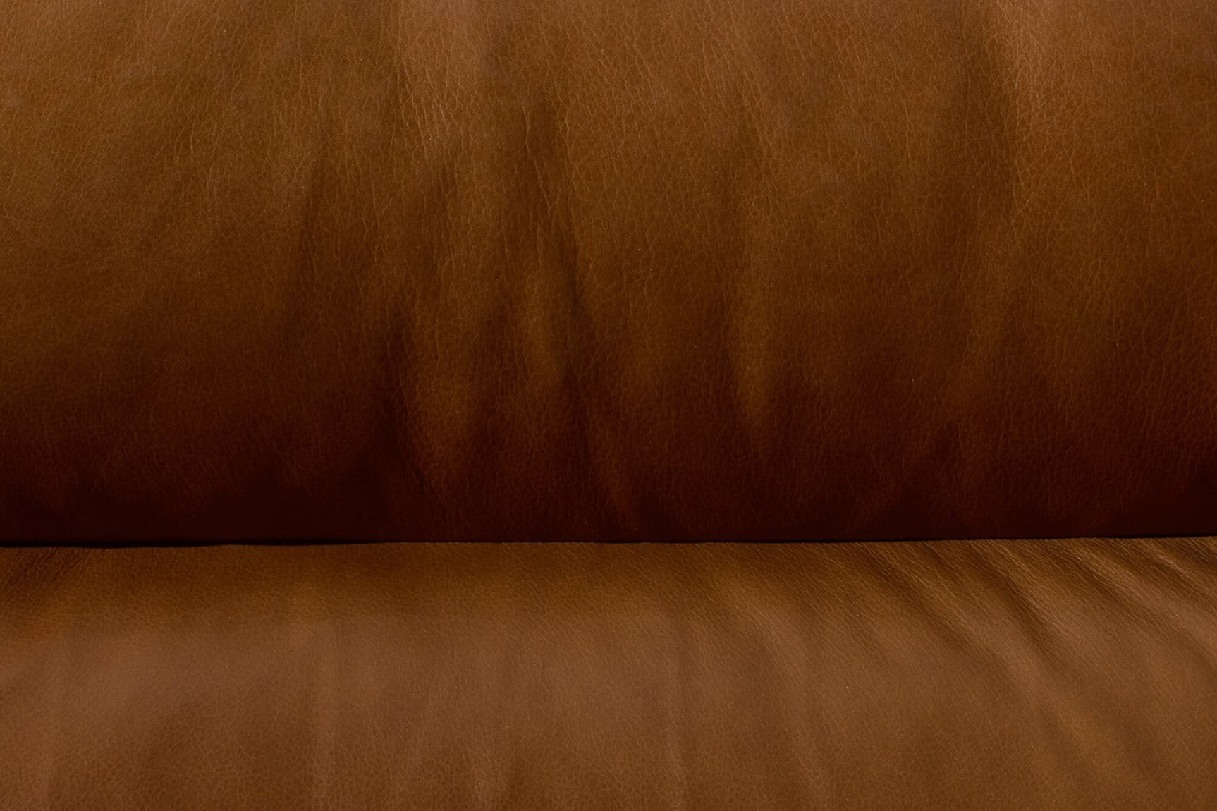 Eddie Leather Armchair
