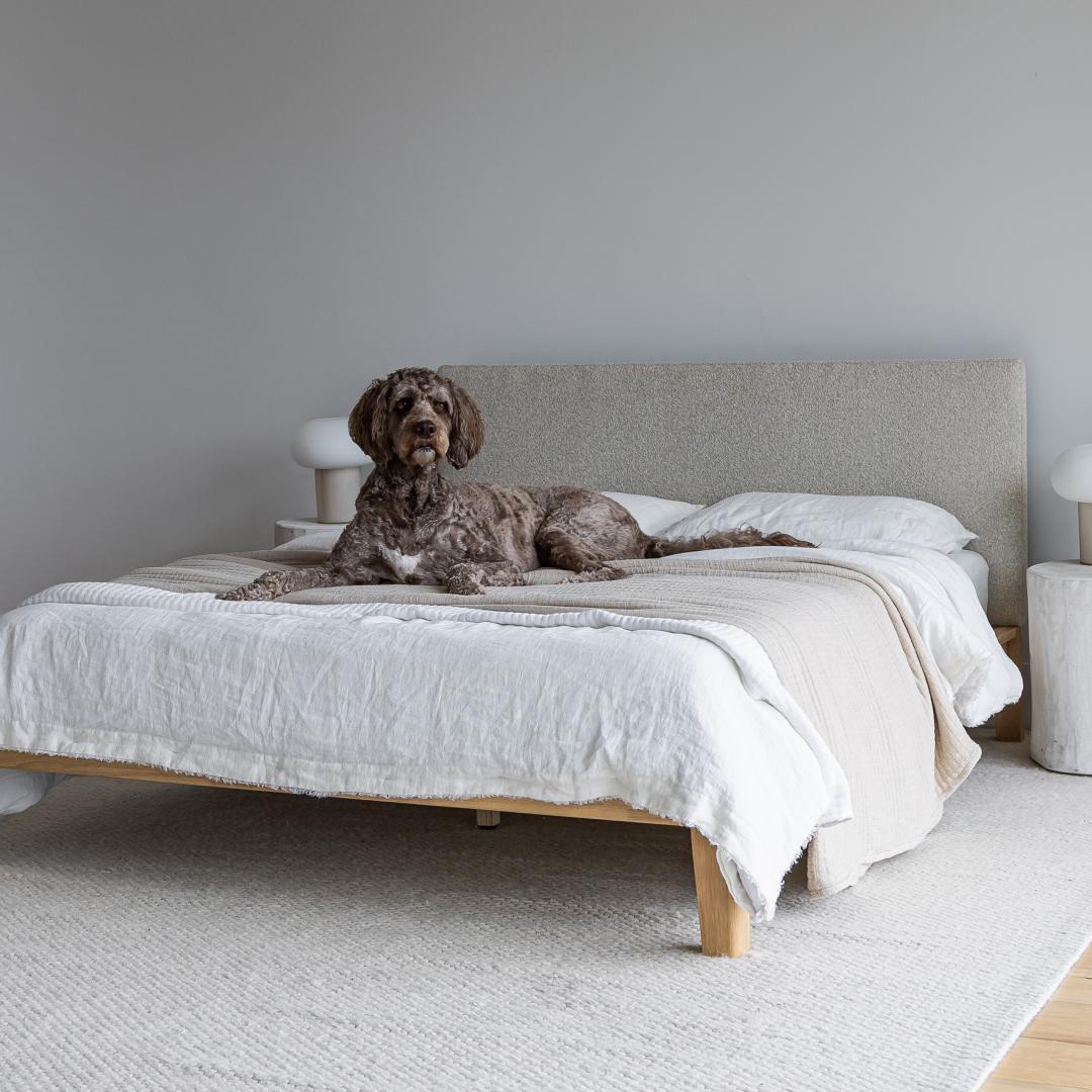 Luna Tool Free Upholstered Queen Bed - Beige