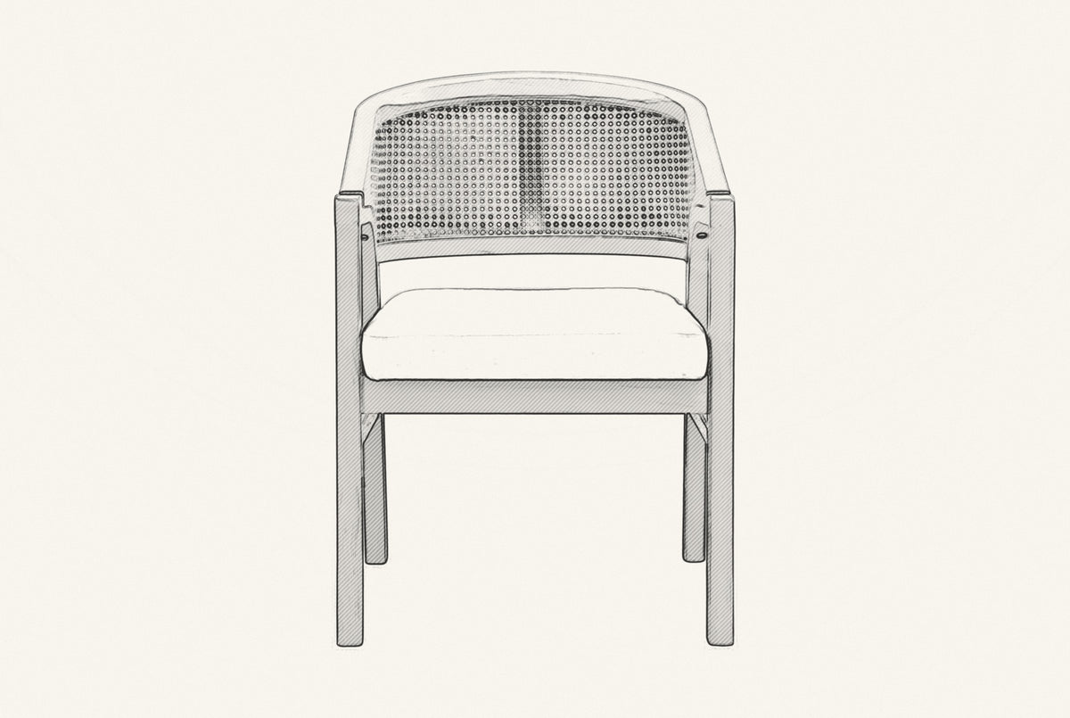 Pencil drawing of the Cortina cane-back dining armchair, front view