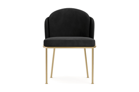 Alexander Velvet Fabric Dining Chair (Set of 2)