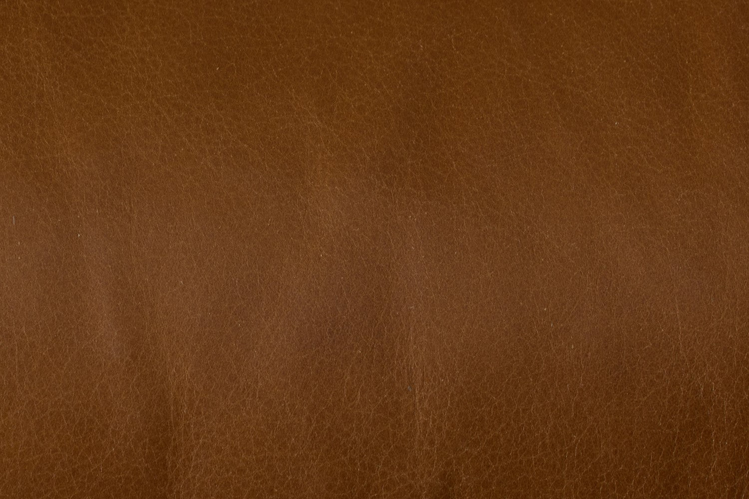 Eddie Leather Armchair