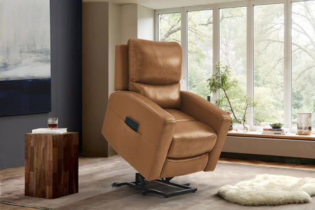 Hector Leather Power Lift Recliner Chair