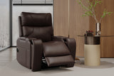 Ingrid Leather Heat & Massage & Ventilation Power Lift Recliner Chair
