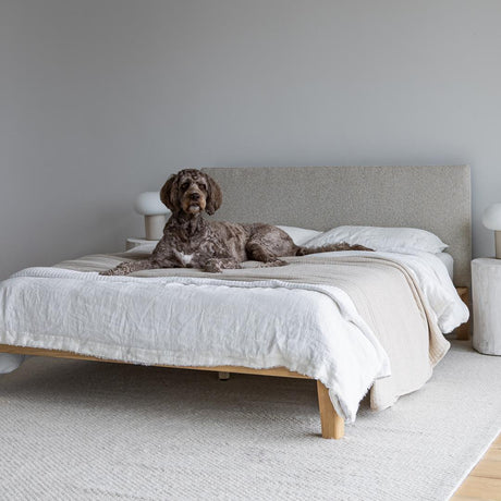 Luna Tool Free Upholstered King Bed - Beige