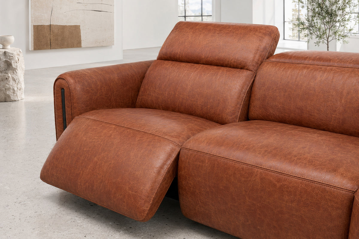 Octavia sectional detail