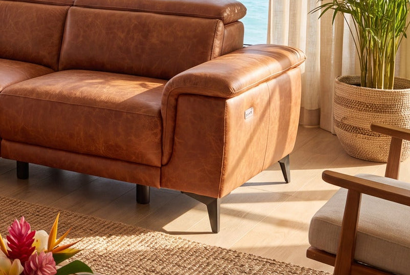 Pista sectional detail