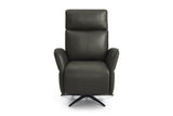 Valencia Tarno Leather Swivel Reclining Massage Chair