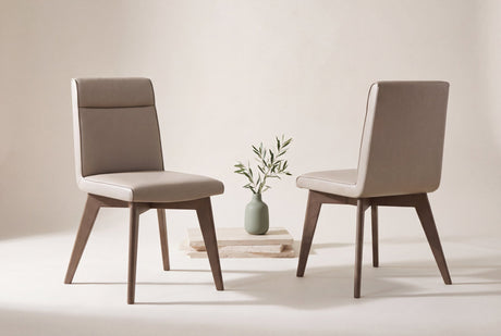 Aileen Leather Dining Chair (Set of 2)