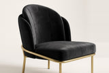 Close-up of the Alexander chair layered black velvet back, padded seat and brass rail on an off-white backdrop