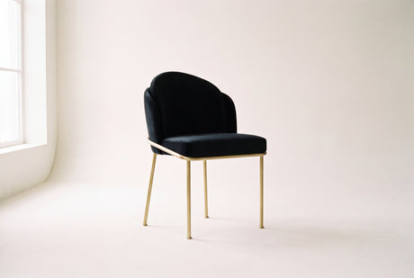 Alexander Collection