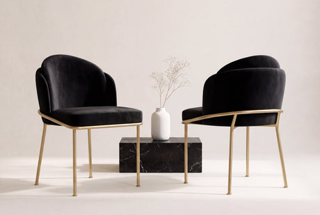 Alexander Velvet Fabric Dining Chair (Set of 2)