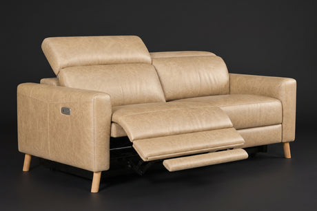 Elodie Distressed Italian Aniline Leather Dual Recliner Sofa