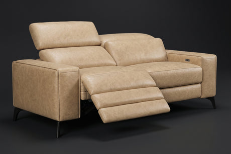 Esther Distressed Italian Aniline Leather Power Dual Recliner Sofa