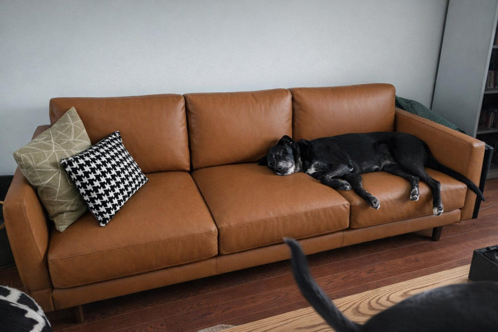 Toulon Leather Sofa