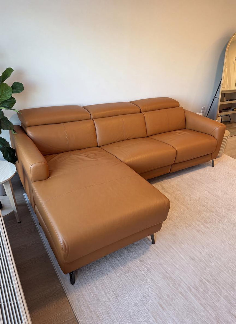 Andria Leather Reclining Sectional Sofa