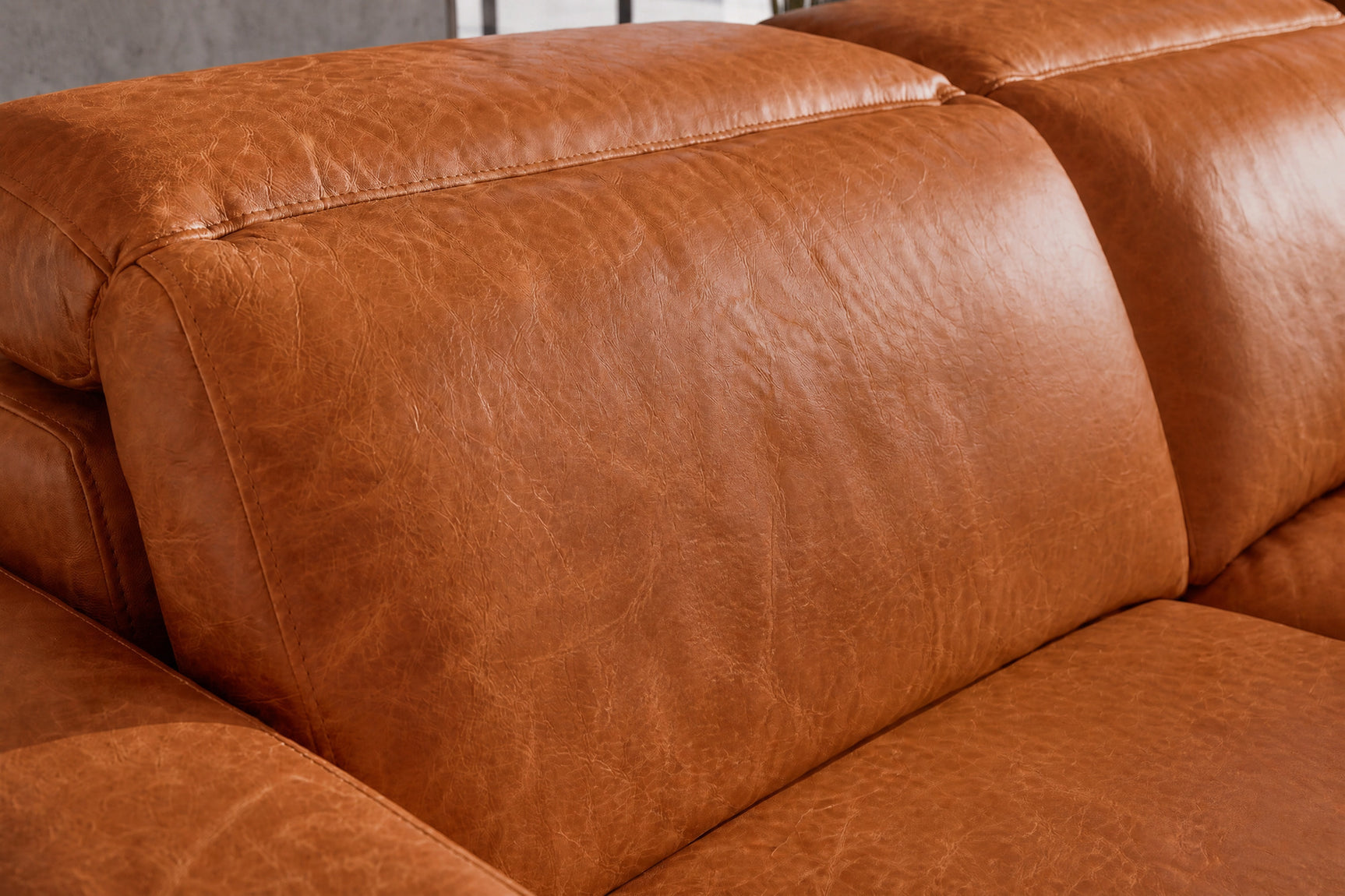 Elodie Distressed Italian Aniline Leather Dual Recliner Sofa