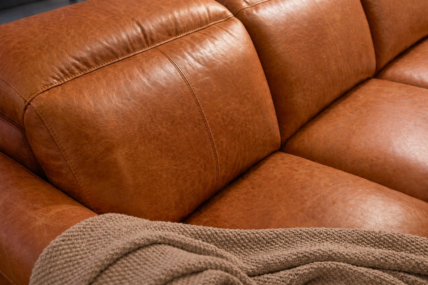 Elodie Distressed Italian Aniline Leather Dual Recliner Sofa