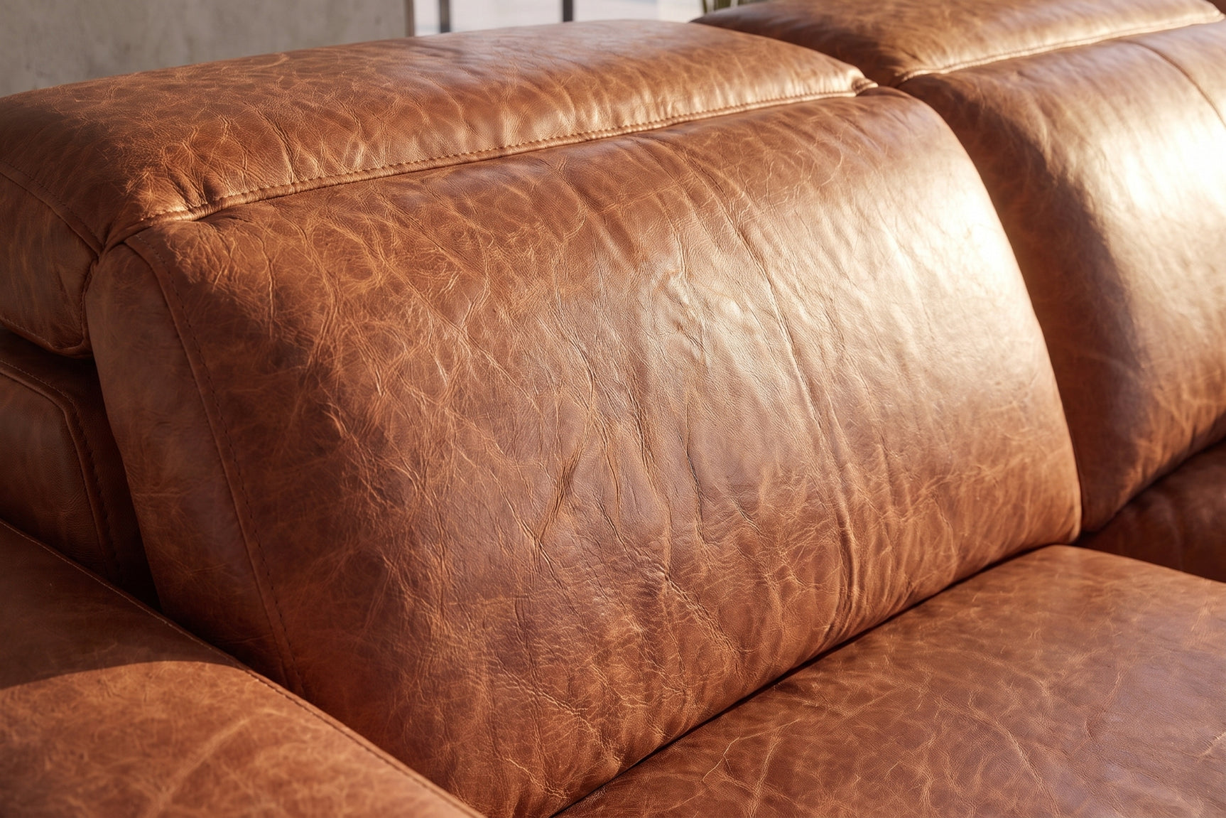 Elodie Distressed Italian Aniline Leather Dual Recliner Sofa