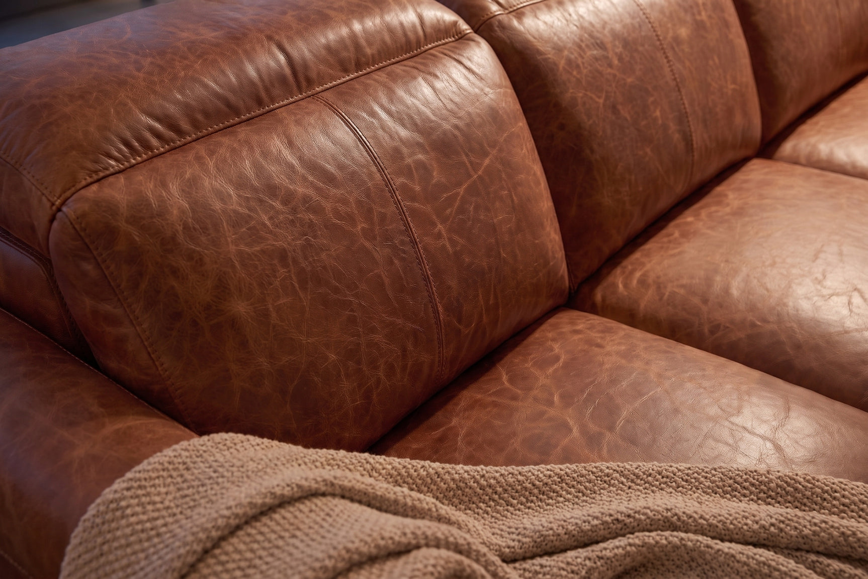 Elodie Distressed Italian Aniline Leather Dual Recliner Sofa