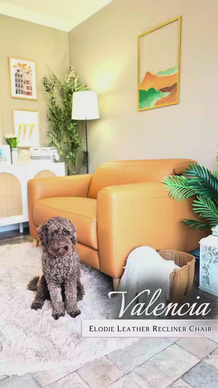Elodie Leather Recliner Chair