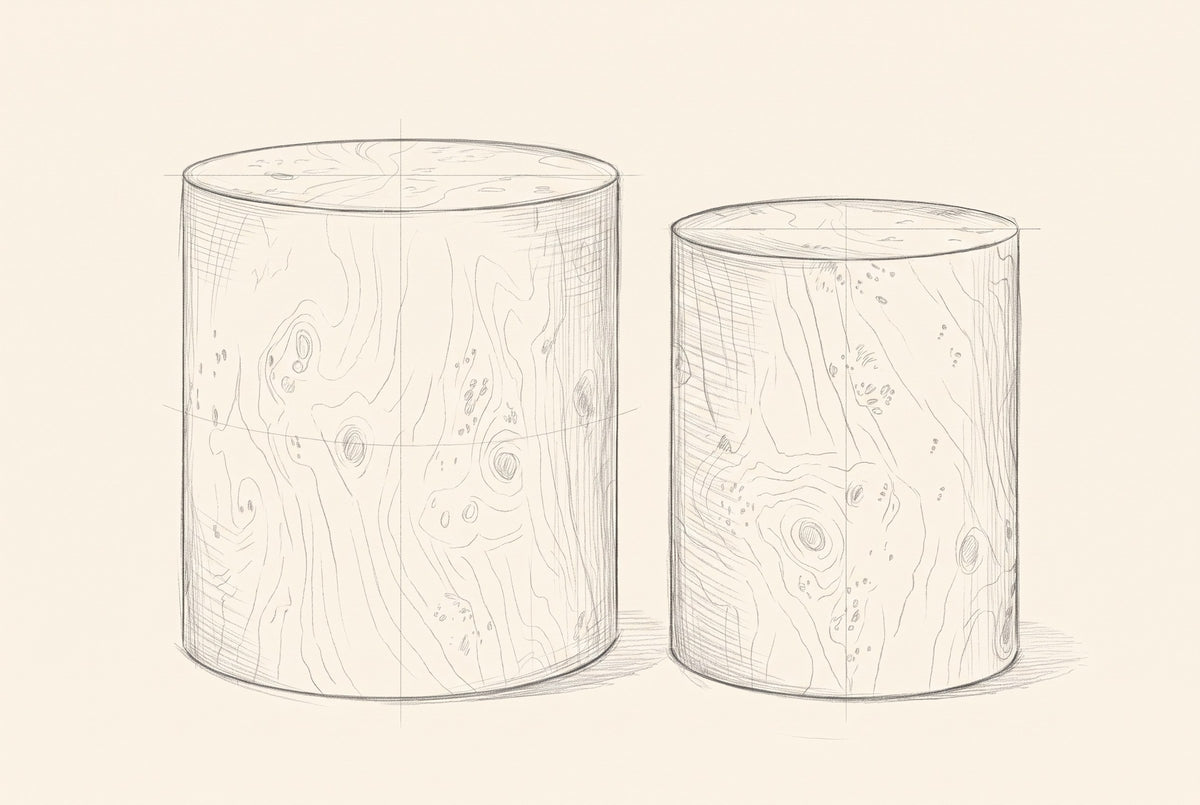 Pencil drawing of the two Tirano drums, front view