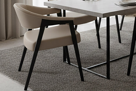 Vance Dining Armchair (Set of 2)