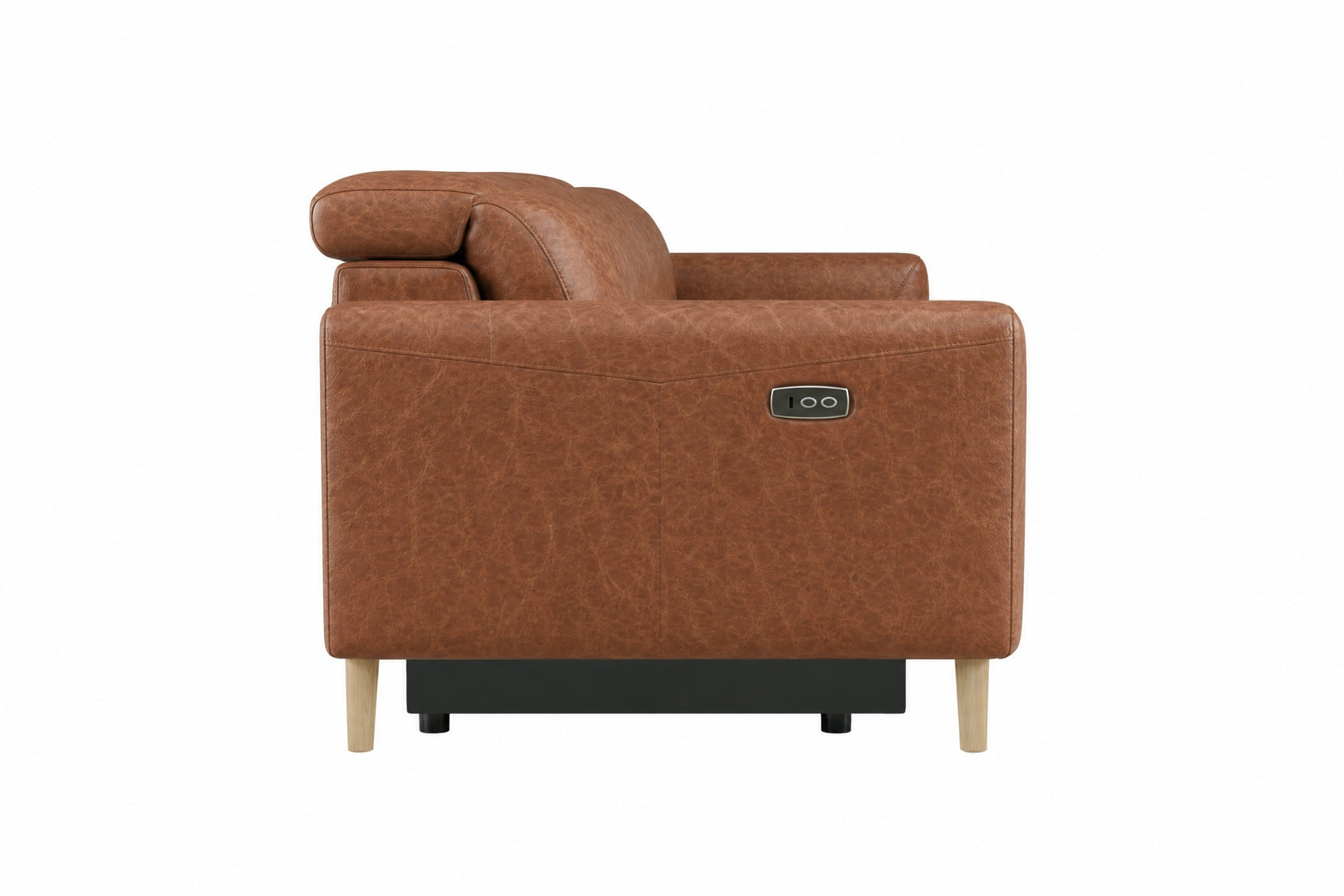 Elodie Distressed Italian Aniline Leather Dual Recliner Sofa