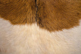 Yardley close-up of brown and white goat hair hide